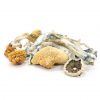 Buy Blue Meanies Mushrooms UK