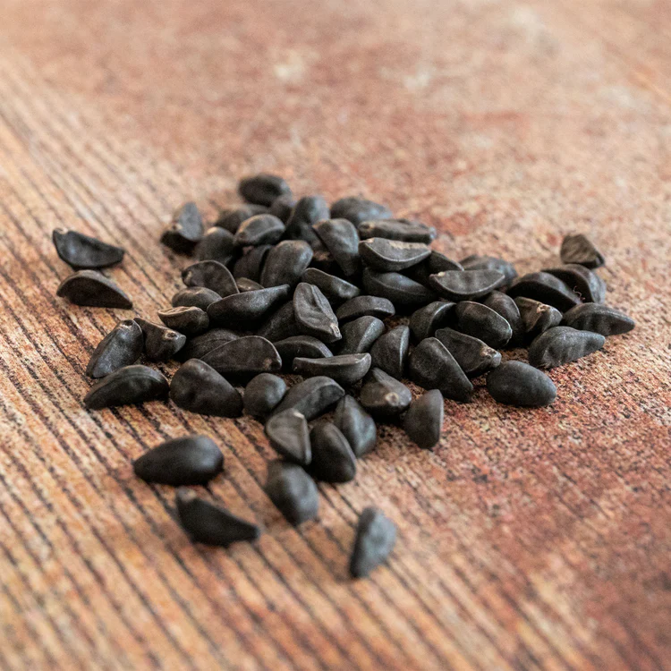 Buy Morning Glory Seeds Waterford